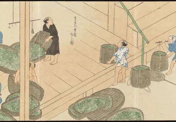 Illustrationen der Uji-Teeproduktion