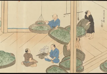 Illustrationen der Uji-Teeproduktion