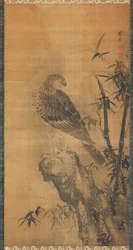 Falke auf einem Felsen