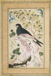 Vogel auf einem Felsen sitzend, 1684