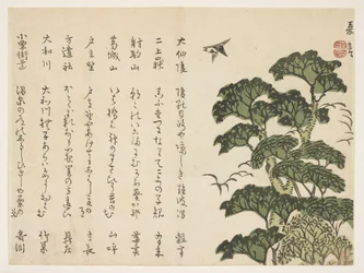 Großer Baum und Vögel, ca. 1830-44