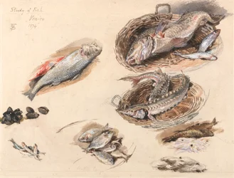 Studie von Fischen, Venedig