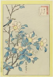 Blauer Vogel und rosa Blumen