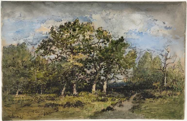 Landschaft
