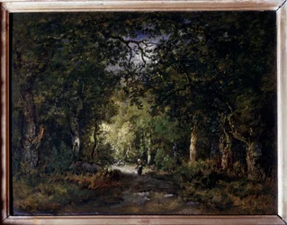 Die Straße im Wald