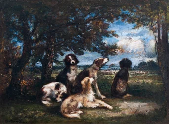 Hunde im Wald von Fontainebleau