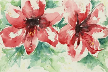 Lebendige rote Blumen