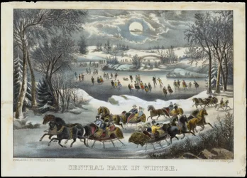 Central Park im Winter, 1877-94