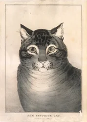 Die Lieblingskatze, 1838-46