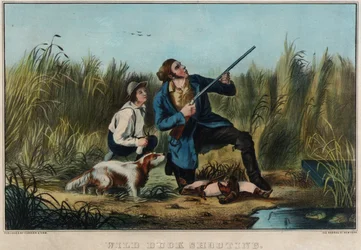 Wildentenjagd