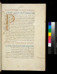 Ms 394.1. Plinius der Ältere, Naturalis Historia, f.1r. Illuminierte Initiale [P] mit weißem Rankenstammdekor (unvollendet), Neapel, Mitte des 15. Jahrhunderts, ca. 1442 (Pergament)