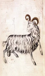 Das Sternzeichen Steinbock (Pergament)