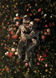 Kosmisches Paar Blüte