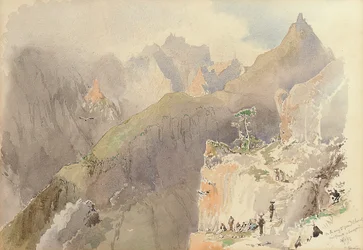 Teneriffa und Madeira