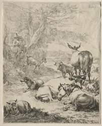Tiere in Ruhe