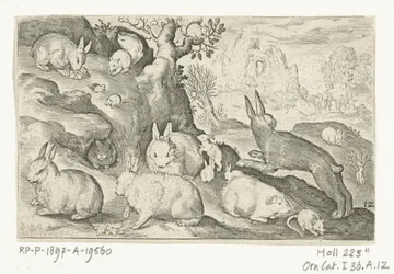 Kaninchen, Eichhörnchen, Meerschweinchen und Maus