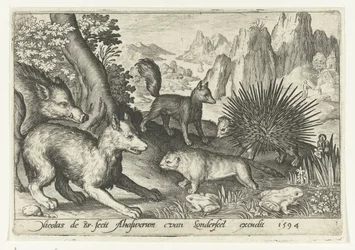 Wildschwein, Füchse, Biber, Stachelschwein und Frösche