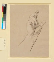Studie einer Hand