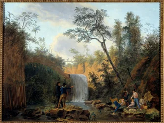 Expedition eines Botanikers in Südamerika (Nicolas Didier Boguet)