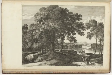 Landschaft