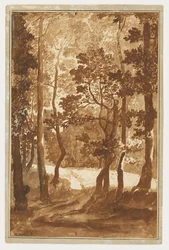 Ein Weg zu einer Waldlichtung