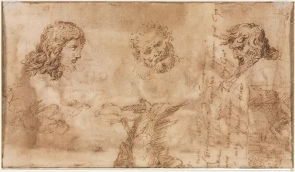 Drei Köpfe und andere Skizzen verso, 1643-1644