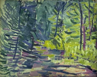 Waldlandschaft