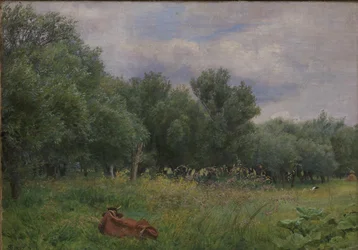 Weiden auf einer Wiese bei Nysø