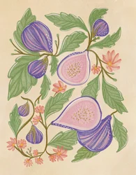 Lila Feigen und Blumen
