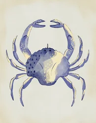 Aquarell Blauer Krebs