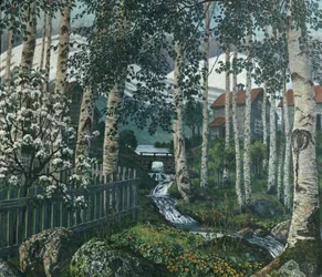 Birken