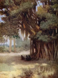 Unter einem Banyanbaum, Malekula-Insel, Neue Hebriden