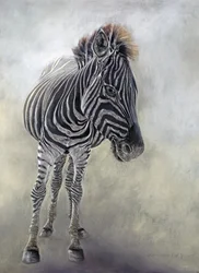 Equus burchelli 1, 2009