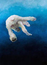 Ursus maritimus 1, 2010