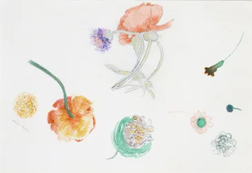 Blumenskizze