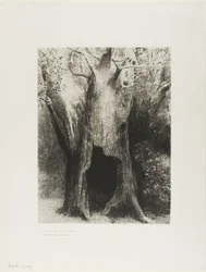 Ich tauchte in die Einsamkeit. Ich wohnte im Baum hinter mir, Platte 9 von 24