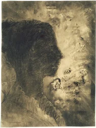 Profil eines Schattens