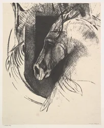 Der Hengst, 1894