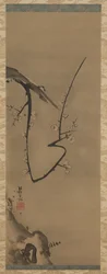 Prunus, Hängerolle, ca. 1700