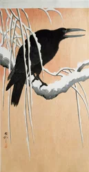 Ein Rabe auf einem verschneiten Zweig. Japanischer Druck von Ohara Koson (1877-1945), 1910. Privatsammlung, DR