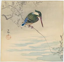 Eisvogel