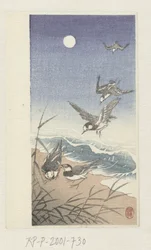 Vögel bei Vollmond
