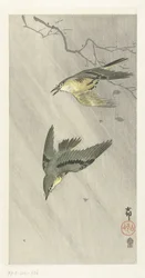 Singvögel im Regen