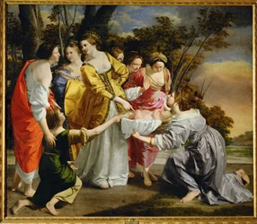 Moses wird aus dem Nil gerettet