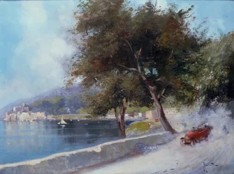 Rennen auf dem See