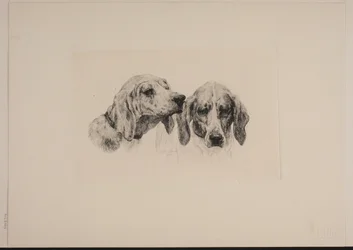 Zwei Hundeköpfe