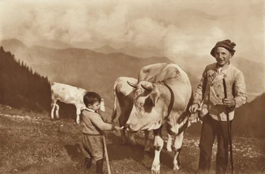 Auf der Alm