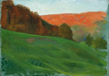 Herbstlicher Wald hinter grüner Wiese