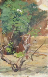 Verästelter, junger Baum mit zwei Blüten