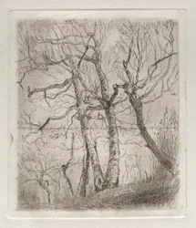 Bäume, 1878